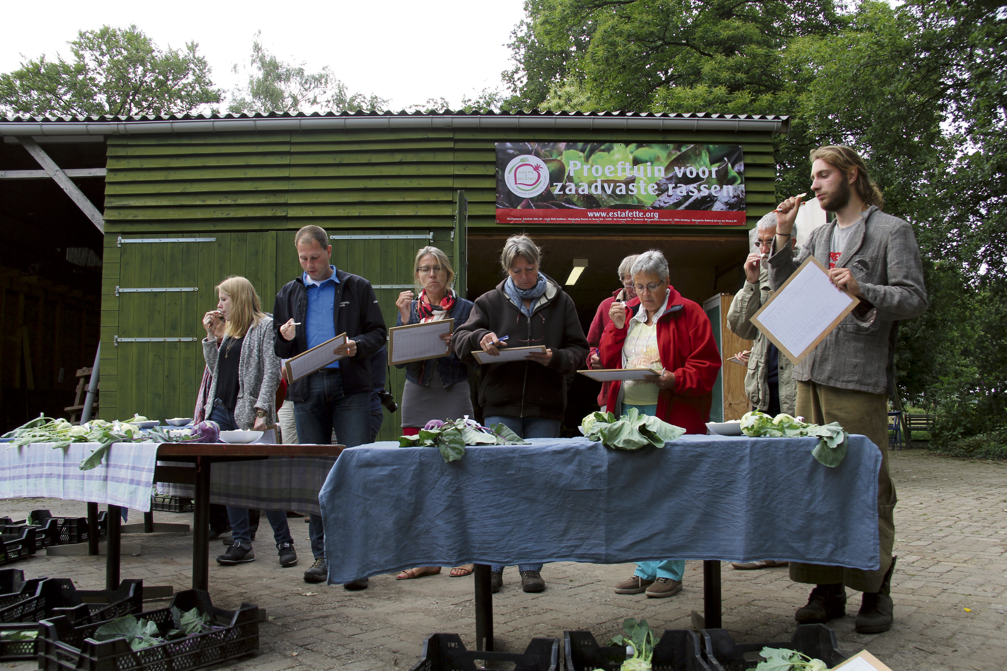 zaadvast-groenen_koolrabi_proeverij demeter magazine krant van de aarde
