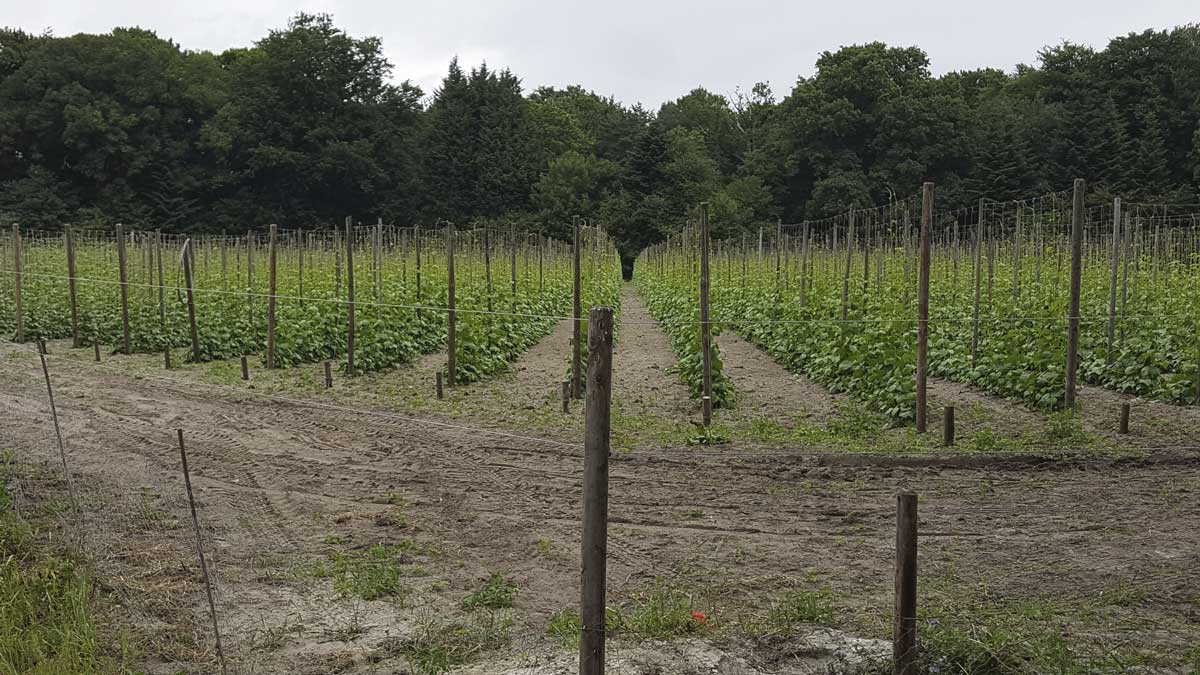 Biodynamische impuls op Brabants landgoed Baest
